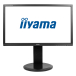Монітор 24" iiyama ProLite B2483HS FullHD HDMI