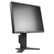 Монитор 19" Eizo FlexScan S1902 - 2