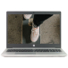 Ноутбук 15.6" HP ProBook 450 G6 Intel Core i5-8265U 32Gb RAM 256Gb SSD M.2 FullHD IPS