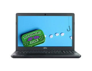 БУ Ноутбук 15.6&quot; Fujitsu LifeBook A556 Intel Core i5-6200U 8Gb RAM 240Gb SSD из Европы