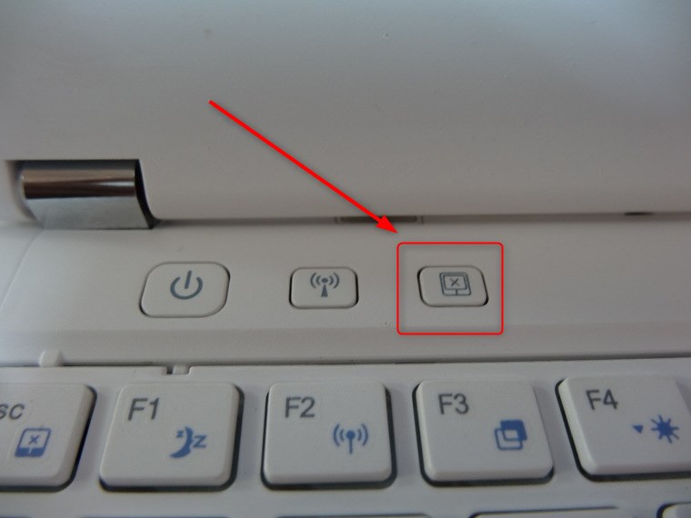 Мышь на ноутбуке не работает: что делать, если курсор не двигается